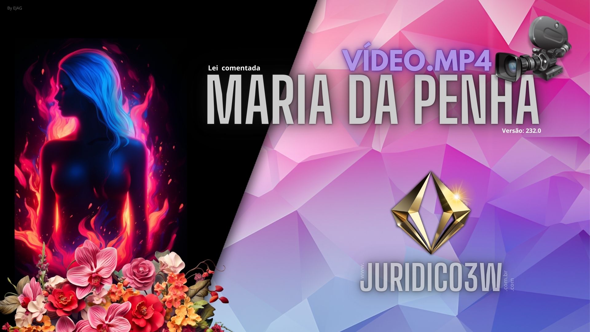 Maria da Penha em Video e em PDF(imagens)